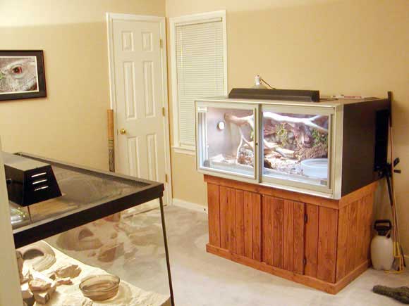 Another herp room shot