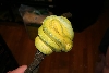 Green Tree Python