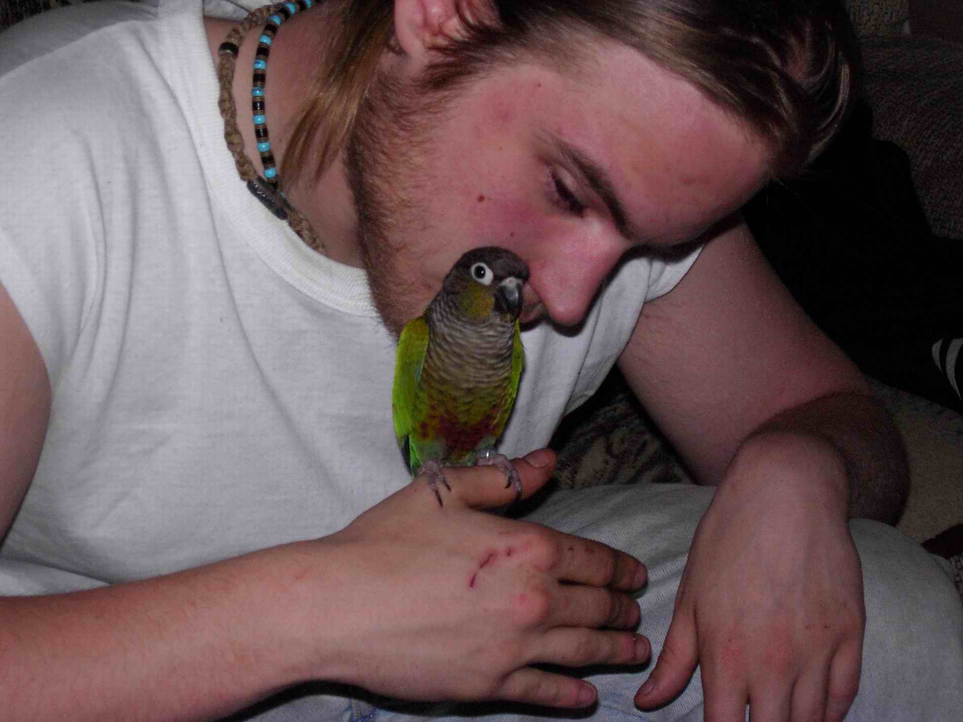 me & greencheek