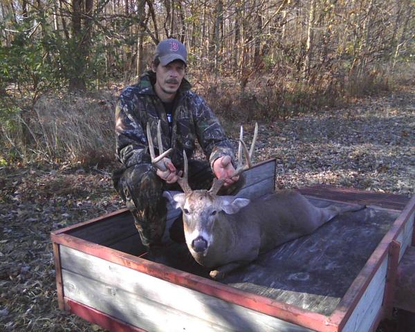 8 pt