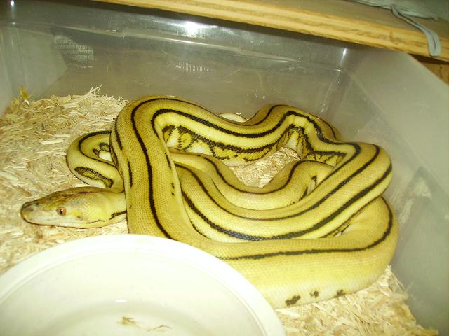 super2