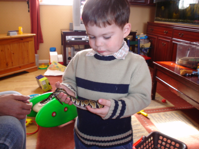 harvey and his snake