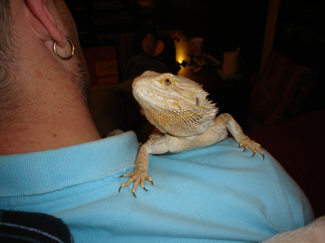 bigspike1