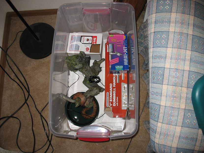 my sigb setup