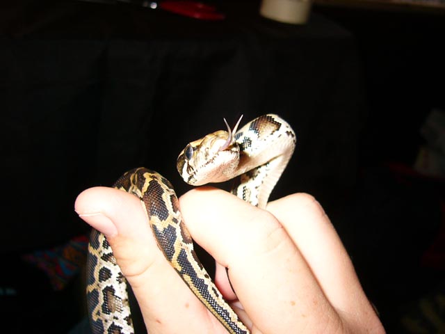 my baby burm
