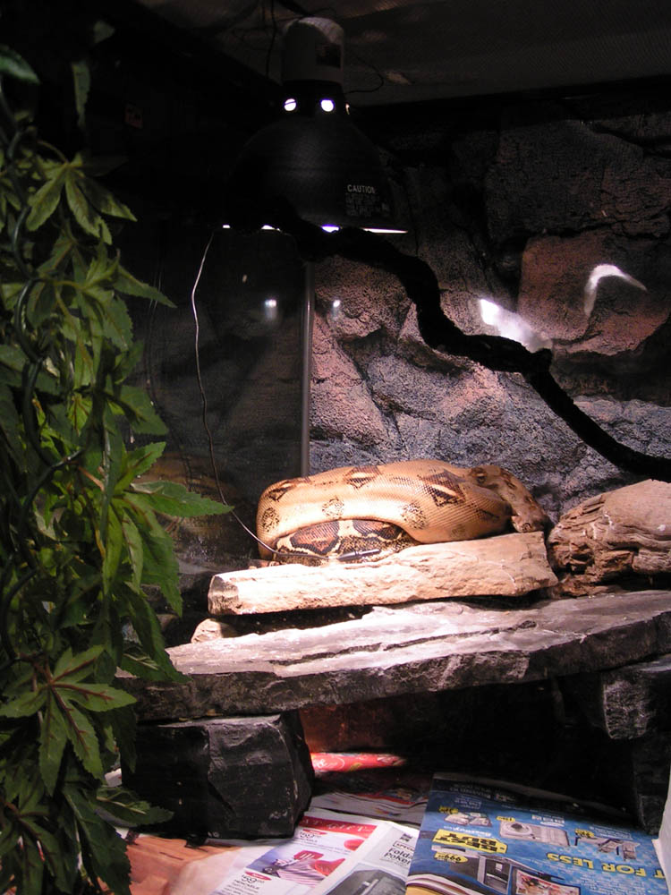 tank setup1