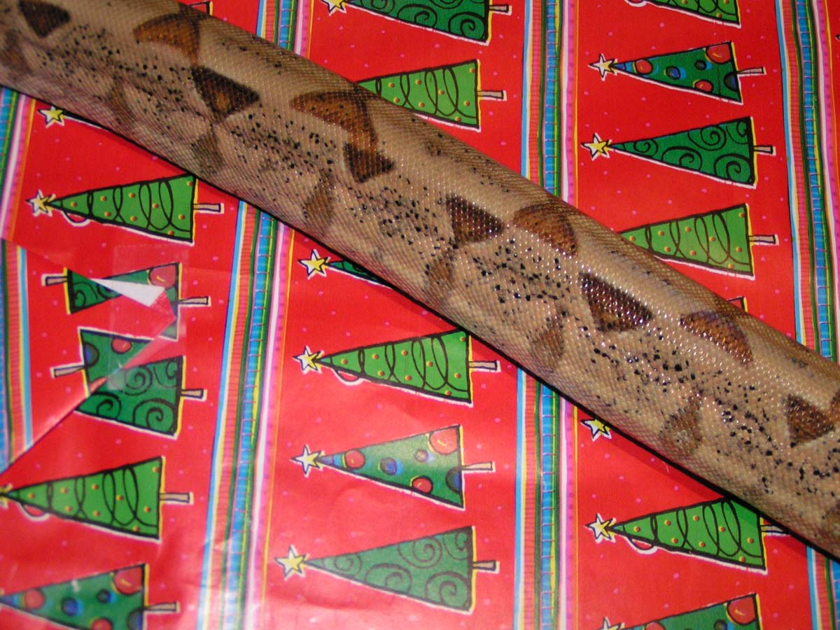snakexmas2