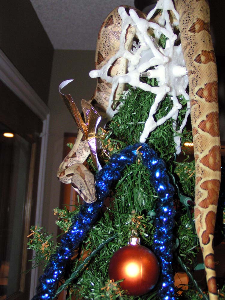 snakexmas