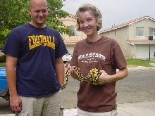 Sarisnake