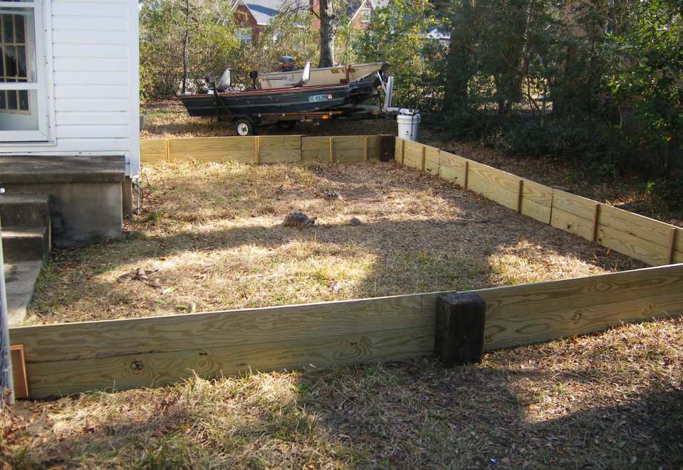 New Tortoise Area