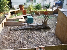 Sulcata Pen Outside enclosure