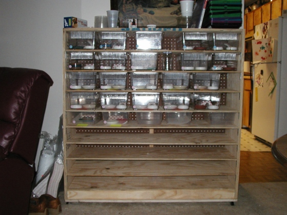 hatchling box