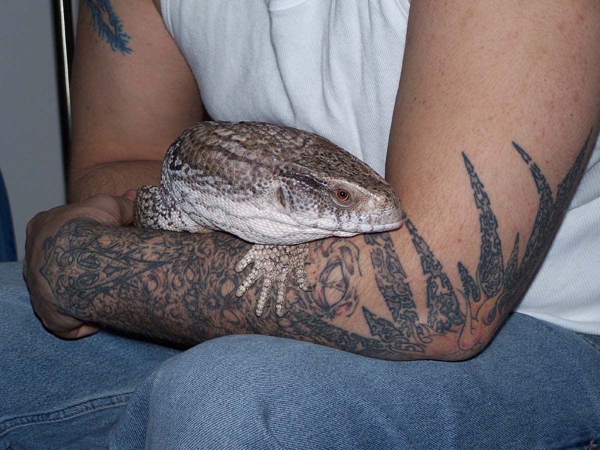 Loki with daddy