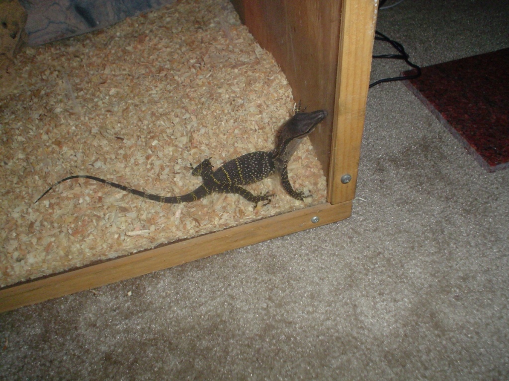 He's just a little guy.