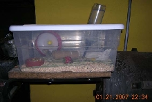 feeder rack