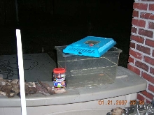 plastic container