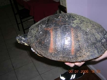 Side view