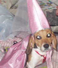 Princess Millie