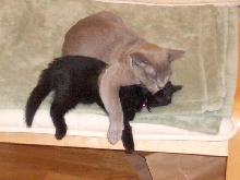 Isabella and Rigby