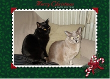 xmas1