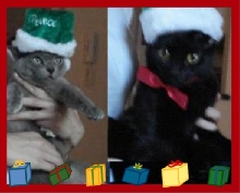xmas 2008