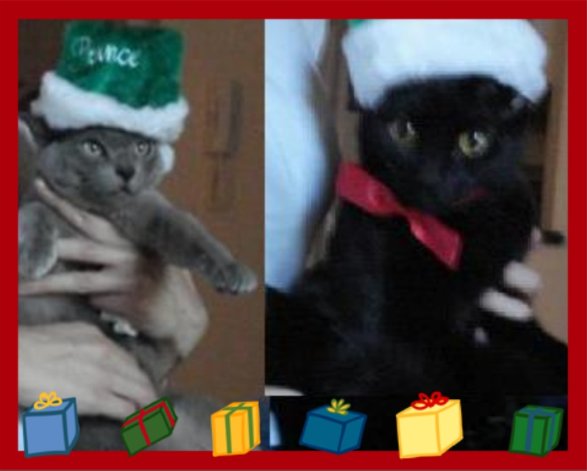 xmas 2008