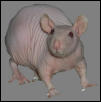 Scarlet No Haira
