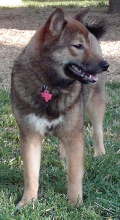 Jia 9mos smile