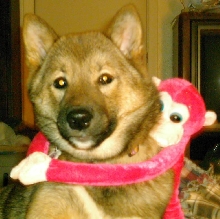 Jia with Monkey
