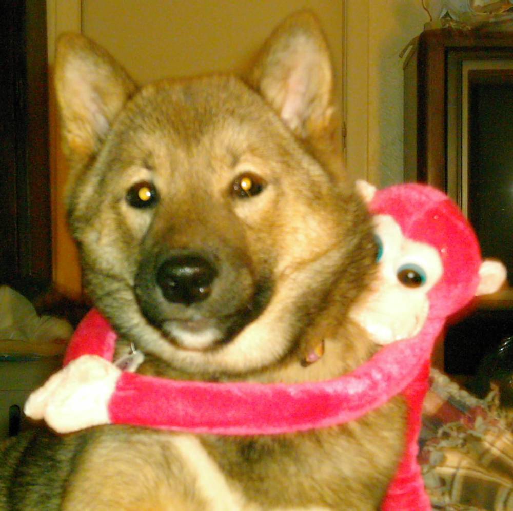 Jia with Monkey