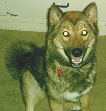 jia 10 mos 2