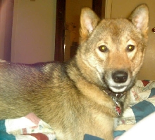 Jia 14 months