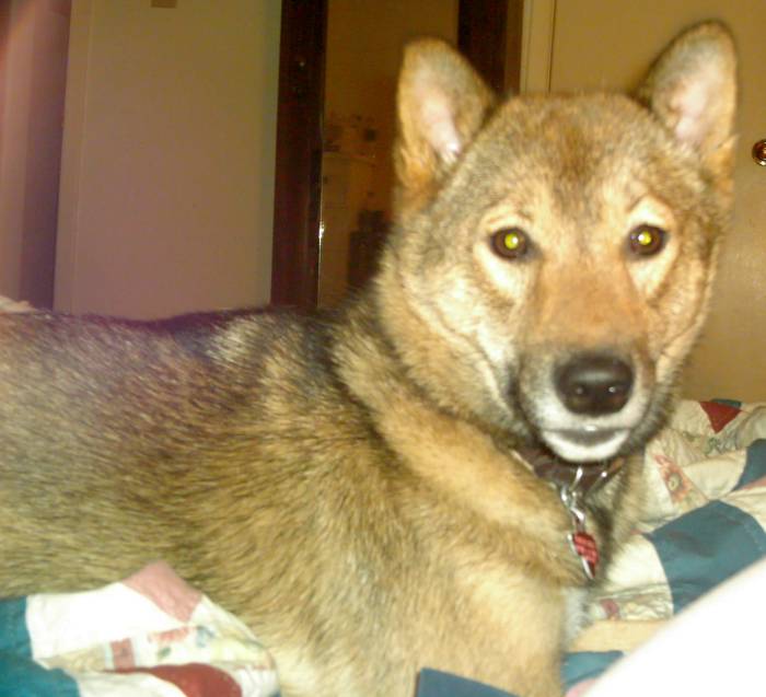 Jia 14 months