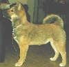 Jia 16 weeks