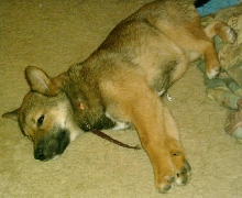 Jia 4 months