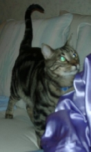 Sebastian