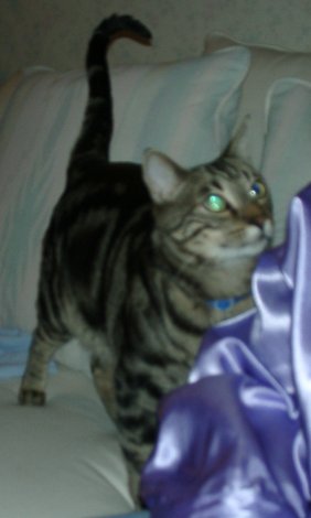 Sebastian