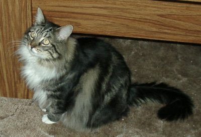 Abby