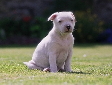 How cute!!!!