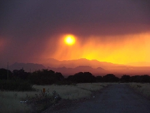 Arizona Sunset.