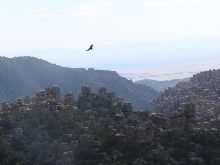 The Coronado National Monument.