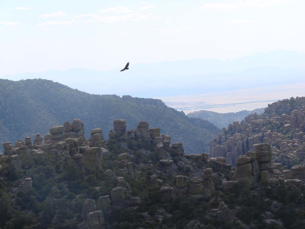 The Coronado National Monument.