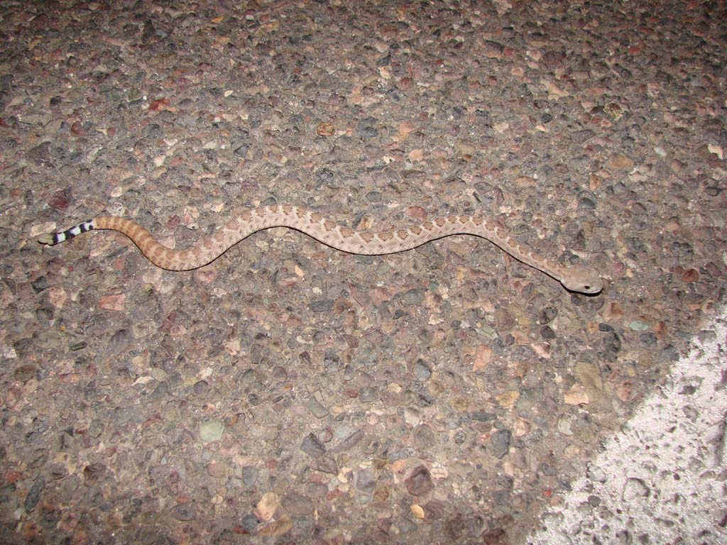 Mojave I think.