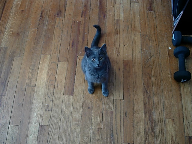Little Diesel =)