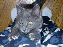 Whatcha doin?!