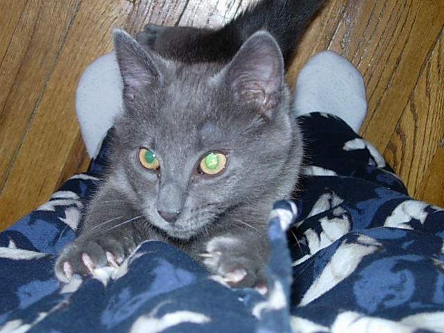 Whatcha doin?!