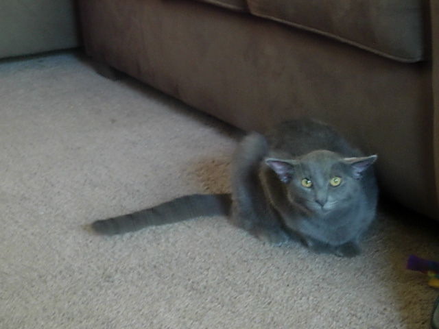 Diesel's yoda impersonation