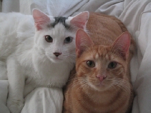 O'Malley and his brother Oscar =)