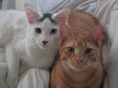 O'Malley and his brother Oscar =)
