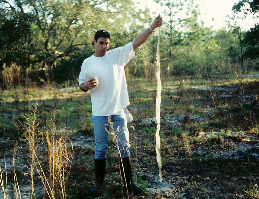 fla. pinesnake shed